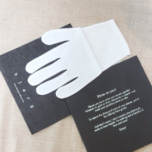 Bjorg/Silver Polishing Glove