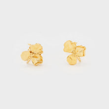 Load image into Gallery viewer, Cecile Boccara/Small gold earrings