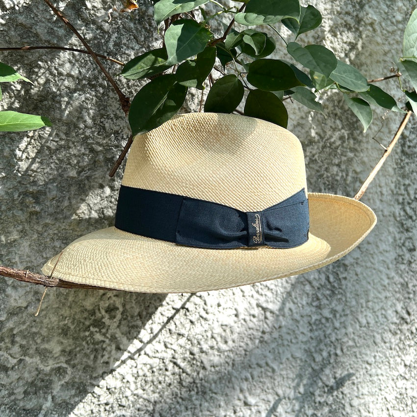 Borsalino/Wide Brim Panama hat(Black/Peacock/Wine)