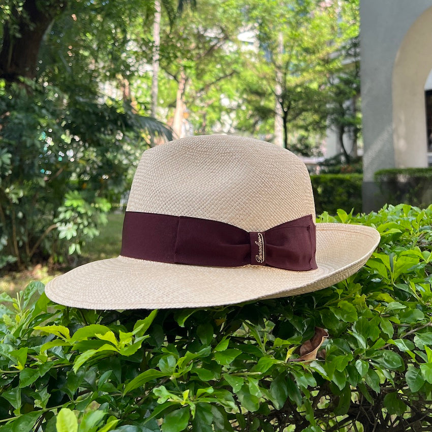 Borsalino/Wide Brim Panama hat(Black/Peacock/Wine)